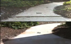 Portfolio Master - LR