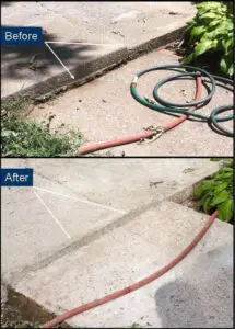 Portfolio Master - LR