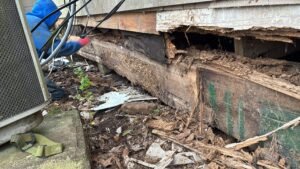 41f96e82-004b-444a-b200-8e90f42de08a