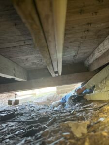 5d56ebf2-e5a0-493c-9623-8c12745119df