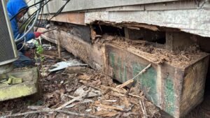 7bd539d2-4090-46ec-9f9e-df850a2af020