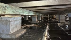 d8d2f556-96a0-4da2-a02f-f5788a6001d1