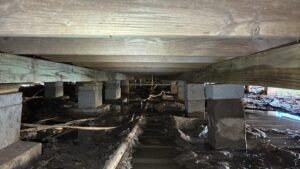 f8ed003c-4b93-4700-a3fa-46a233e9a0ce