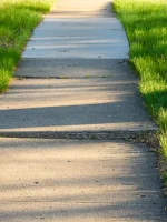 City sidewalk uneven from tree roots creating trip hazard.